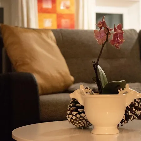 Apartment Letta
